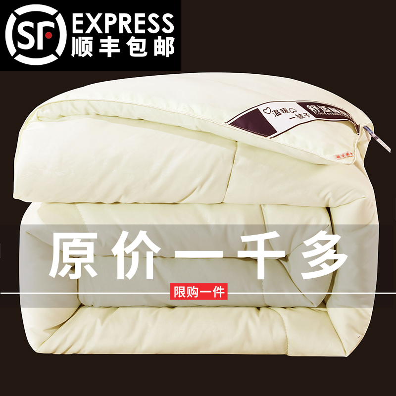 Silk quilt 100 mulberry silk spring and autumn quilt winter quilted by whole cotton by core thickened warm 10 catty 8 Winter season universal