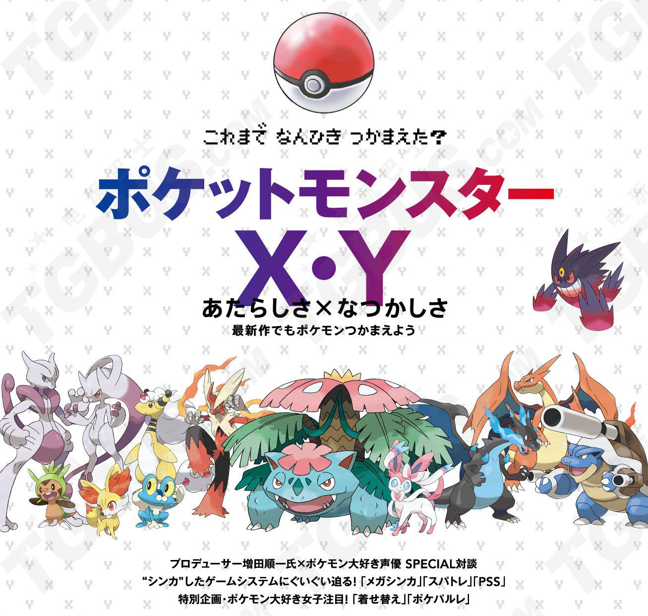Anime Meitu Pokemon Pokemon Pokemon Xy Mega Evolution Full Printable