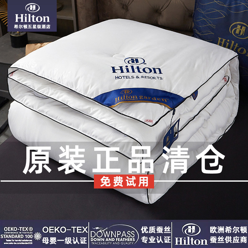 Outlet Hilton Hotel Quilt Silk Quilt 100 Mulberry Silk Spring Autumn Quilt Core Summer Quilt by Dormitory Single