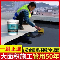 Waterproofing Leaky King Roof Leaks Cracks Waterproof Glue Rehydration Leakage Cracks Seepage Waterproofing Materials Roof Leaks Paint