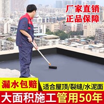 Water Proof Leakage King Waterproof Material Roof Leak Waterproof Glue Remedial Leakage Cracks Seepage Waterproof Paint Roof Leaks
