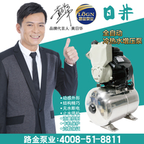 Nichi Automatic Booster Pump Home Suction Pump JLM90-1100SSA Large Pressure Tank Booster Pump