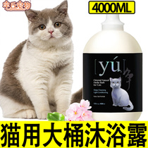 Pet Store Special Body Lotion for cat bathing with bath lotion Special large bucket cat with kitty Xiangbo for home big bottle multi-cat