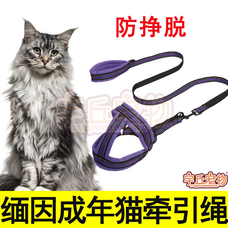 Burmese cat catwalk Cat Tow Rope Special Cat Chain Son Comfort Cat Rope Vest Style Out of Anti-Escape Adjustable Cat