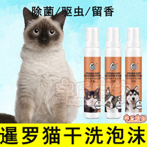 Siamese Cat Mosquito Repellent Dried Foam Body Wash Foam Body Lotion Bath young cat except bacteria Pregnant Cat Bacteriostatic Functional Kitty