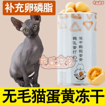 Svenx no hairy cat eats egg yolks frozen cat quail egg yellow grain snacks nutty cat staple grain meme