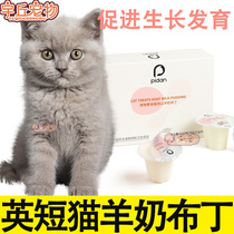 Milk White English Short Blue Cat Special Goat Milk Pudding Jelly Young Cat Into Cat Snacks Kitty Cat Meme Bright Hair Nourishment
