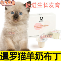 Thai cat Siamese cat special goats milk pudding jelly young cat into cat snacks kitty cat meme bright hair nourishment