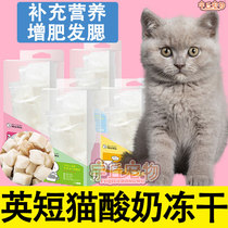 Blue and white English short blue cat yoghurt freeze-dried block kitty Nutritional Blush the main grain yogurt block staple food gain weight snack