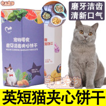 Blue and white English short blue cat kitty sandwich biscuit cat with sandwich ghetto deodorant with zero food and clean teeth and calcium mint