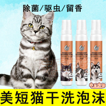 Beauty short mosquito repellent Dry Cleaning Foam Body Wash bath lotion for young cat Bacteriostatic Free Pregnancy Cat Bacteriostatic Functional Kitty