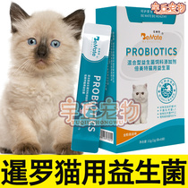 Thai cat Siamese cat supplies kitty special eating probiotic young cat with foul and gut conditioning vomiting