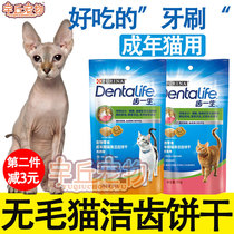 Svenx no fur cat mint small biscuits kittens snacks Calcium Grinders Dentifrice Dentifrice Dentity Dentifrice