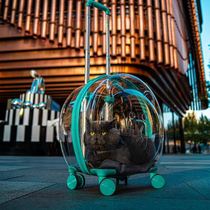 Pet Out Bubble Pull Bar Case Full Transparency Big Cat Suitcase Cat Cart Feline Bag back to be breathable