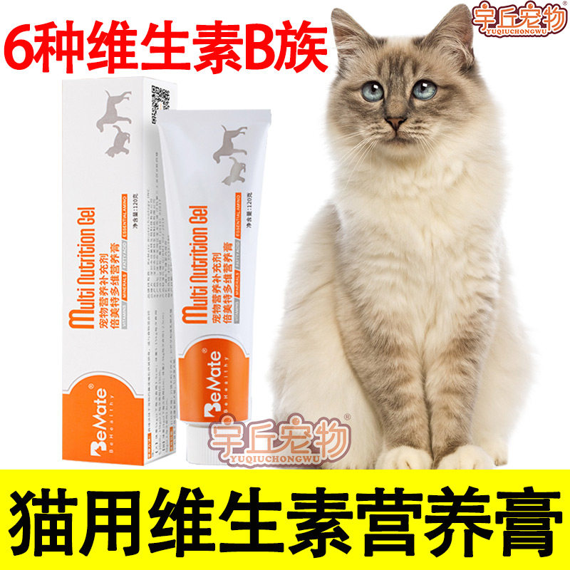 Cat uses vitamin nutritional paste for young adult cat anti-hair hair loss to enhance immunity trace elements
