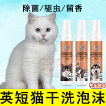 British short mosquito repellent Dry Cleaning Foam Body Wash bath lotion for young cat Bacteriostatic Free Pregnancy Cat Bacteriostatic Functional Kitty