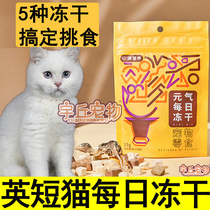 Blue and white English short blue cat Daily Freeze-dried Hair Blush Fertilizer Main Grain Nutrient Cat Used As A Young Cat Mix Staple Food Pick Up Food