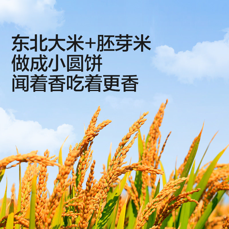 Baby Is Craving for Children's Biscuits, Healthy Snacks for Babies, Snacks for Children over One Year Old, Infant Complementary Food Recipes