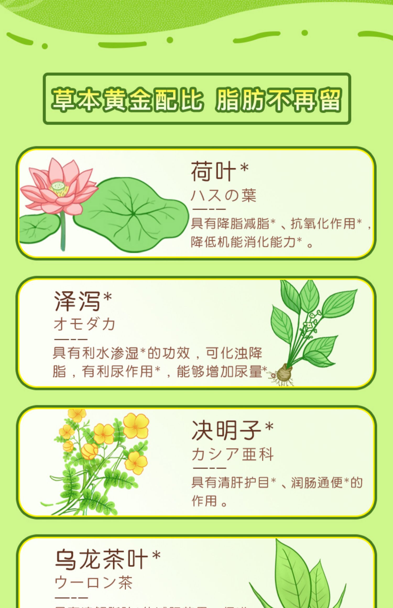 【小杉命力】左旋肉碱草本减肥片