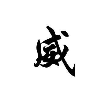 威科夫研习社