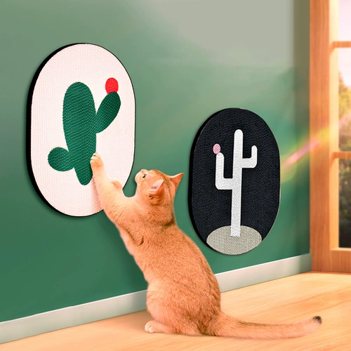 Кошка, хватая тарелку, устойчиво к стене перхоти, кошачьи ког