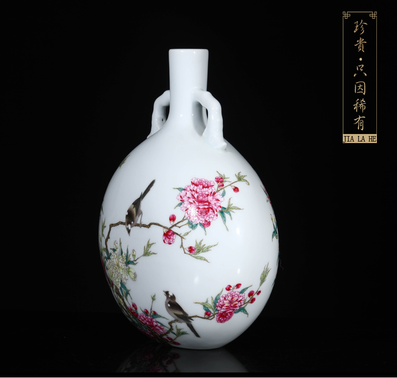 Jia lage jingdezhen hand - made ceramic vase YangShiQi colored enamel bird patterns and name on bottle porch place