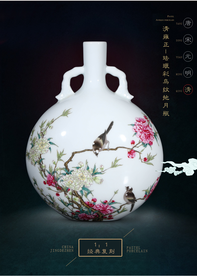 Jia lage jingdezhen hand - made ceramic vase YangShiQi colored enamel bird patterns and name on bottle porch place