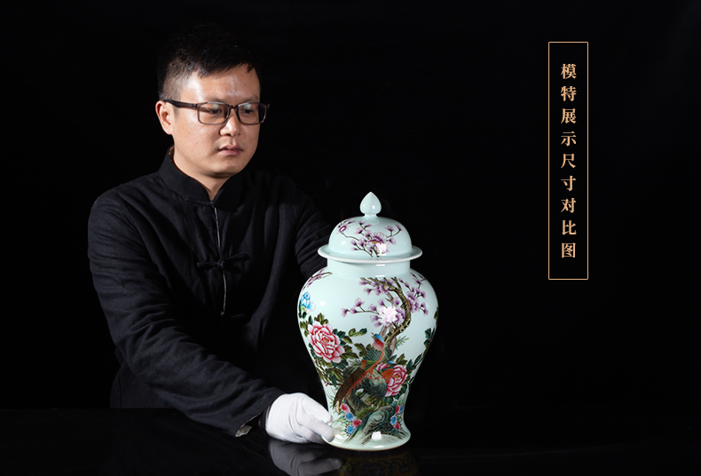 Jia lage archaize of jingdezhen ceramic checking general famille rose porcelain painting of flowers and pot household decorative vase furnishing articles in the living room