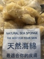 希腊海绵仓库的LOGO