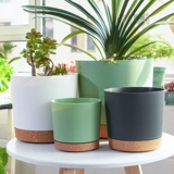 Цветочный горшок для домашнего использования, пластиковый большой корсет на тазовое кольцо, коллекция 2023, увеличенная толщина