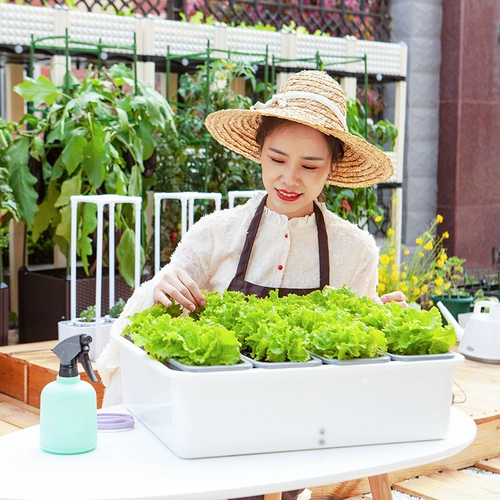 Семейная балкона посадки артефакт ленивый я -поглощающий цветочный горшок.