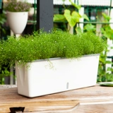 Семейная балкона посадки артефакт ленивый я -поглощающий цветочный горшок.