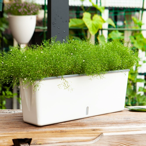 Семейная балкона посадки артефакт ленивый я -поглощающий цветочный горшок.