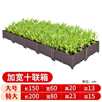 Выпускник Datian Shilian Box