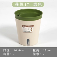 Lotus 17 Зеленый круглый цветочный горшок