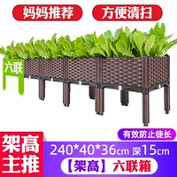 Gall -Up Six -United Box