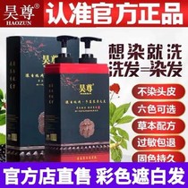 Haozun Plant Pure Black Bubble Hair Dyeing Cover White Hair Hair Dye 2021 Popular Color White Dyeing Cream