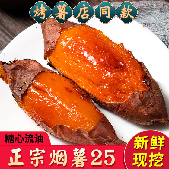 Shandong Sweet Potato Smoke Potato No. 25 Academy of Agricultural Sciences Sweet Potato Sweet Potato Fresh 9 Jin [Jin equals 0.5 kg] Farmhouse Sweet Potato Sandy Roasted Potato