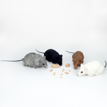 Touch the box game props mosquito simulation bug toys scary crawling fake mouse fake snake Spider soft glue mouse