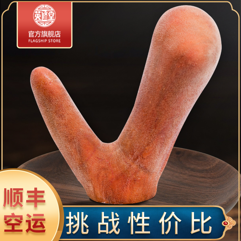 New cut stubble deer antler whole branch with blood fresh antler slice root bubble wine material to be produced from the home of plum blossom deer