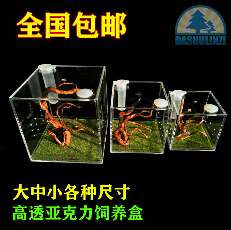 High transparent acrylic landscape feeding box Jumping spider feeding box Songworm spider beetle insect mantis feeding box