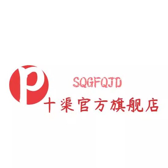 十渠电器
