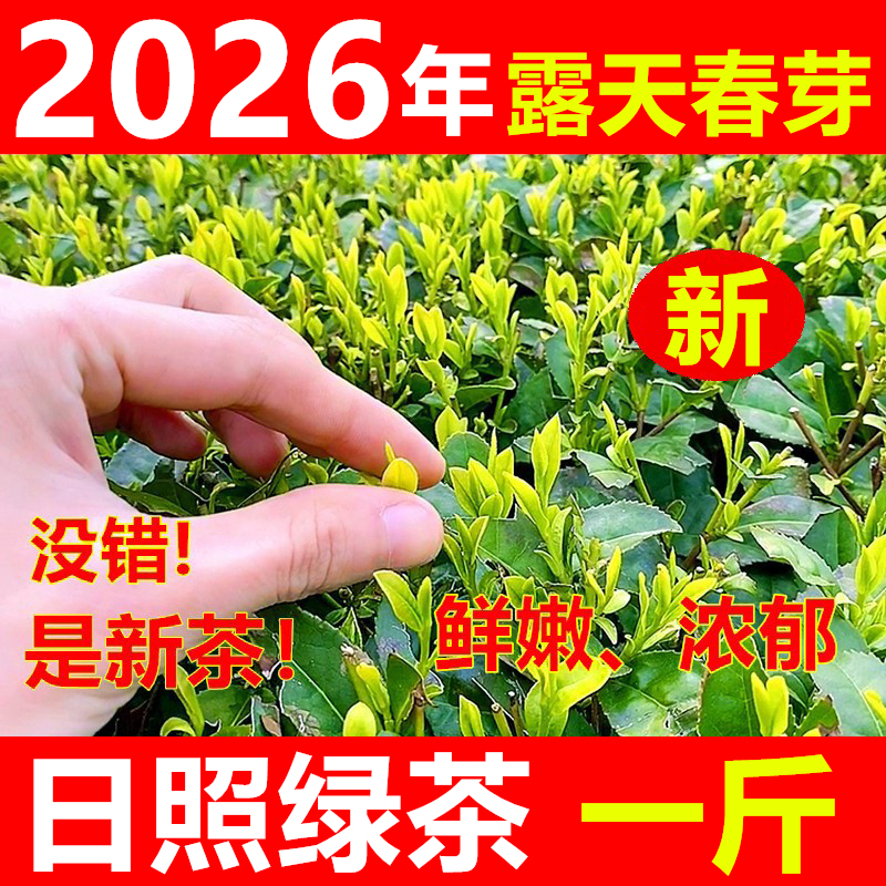 Shandong Rizhao Green Tea 2026 New Tea High Mountain Open-Air First Harvest Spring Tea Strong Aroma Chestnut Fragrance Bagged Spring Buds 500g Shandong Rizhao Green Tea 2026 New Tea High Mountain Open-Air First Harvest Spring Tea Strong Aroma Chestnut Fragrance Bagged Spring Buds 500g