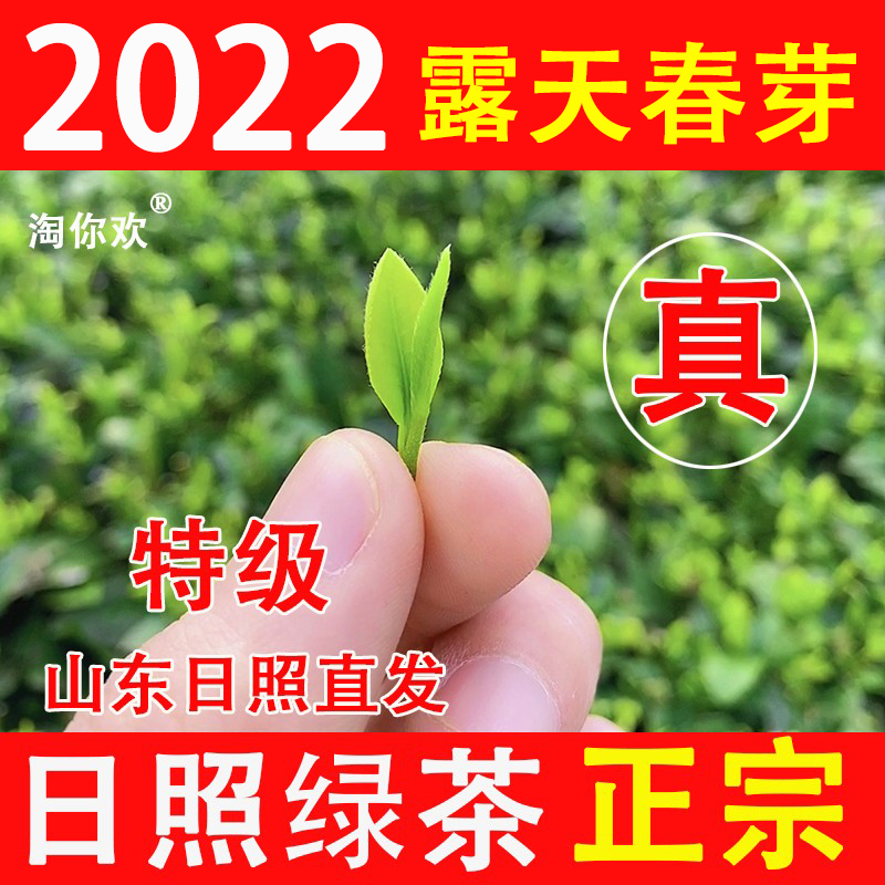 Shandong Rizhao green tea 2022 new tea authentic spring buds open-air head picking spring tea strong-scented tea bags 500g