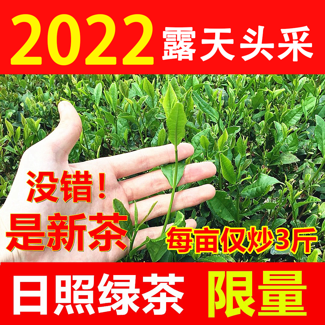 Shandong Rizhi Green Tea 2022 new tea special high mountain open sky with spring tea fragrant bag of rations 500g