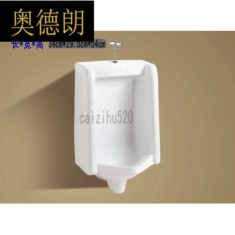 lm hanging wall type urinal small poop BD502 public health engineering urinal family small poop urinal