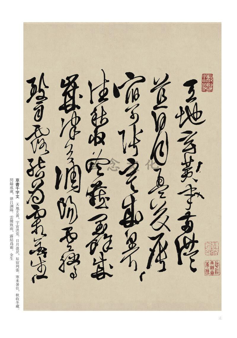 Successive generations of famous stone posts have been posted on Xu Weigrassi books thousands of characters from book poetry books Wang Dongmei Editor-in-Chief Traditional Chinese calligraphy Brush Calligraphy Adult Students of Calligraphy Adult Students to Calligraphy Adult Students to Calligraphy Adult Students