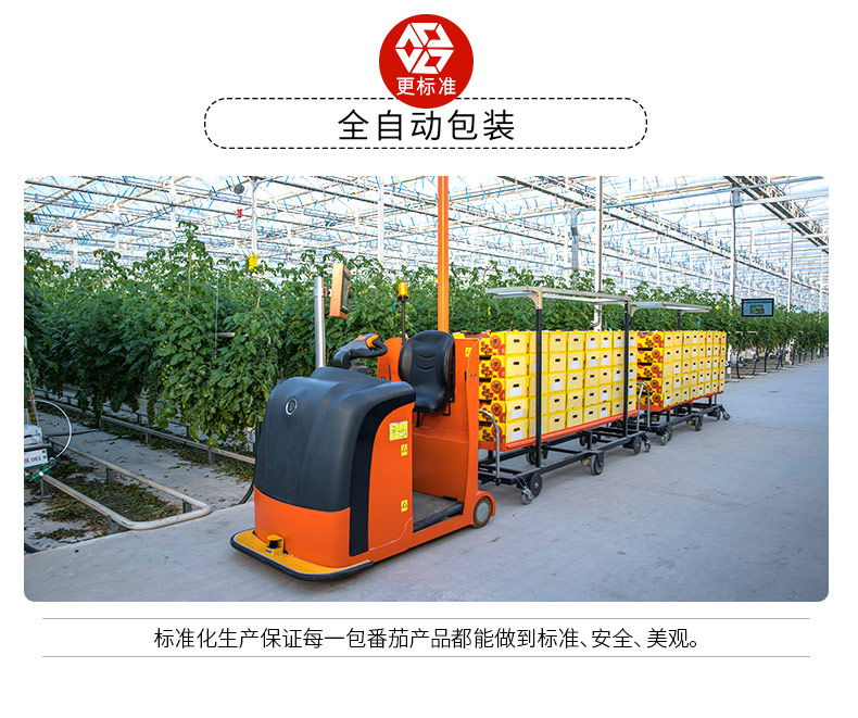 绿行者 桃太郎大粉番茄 4斤12枚 礼品级 图8