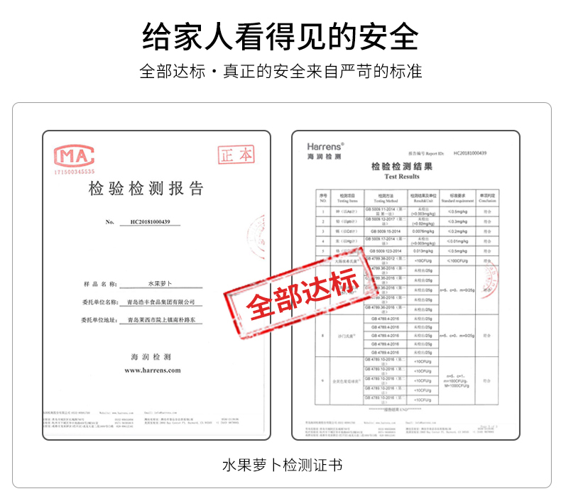 【绿行者】五斤新鲜水果萝卜