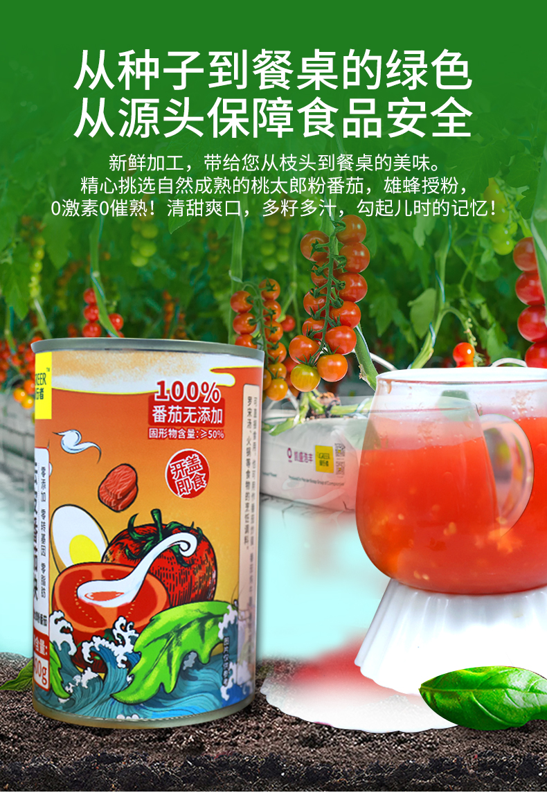 绿行者番茄罐头400g*5罐